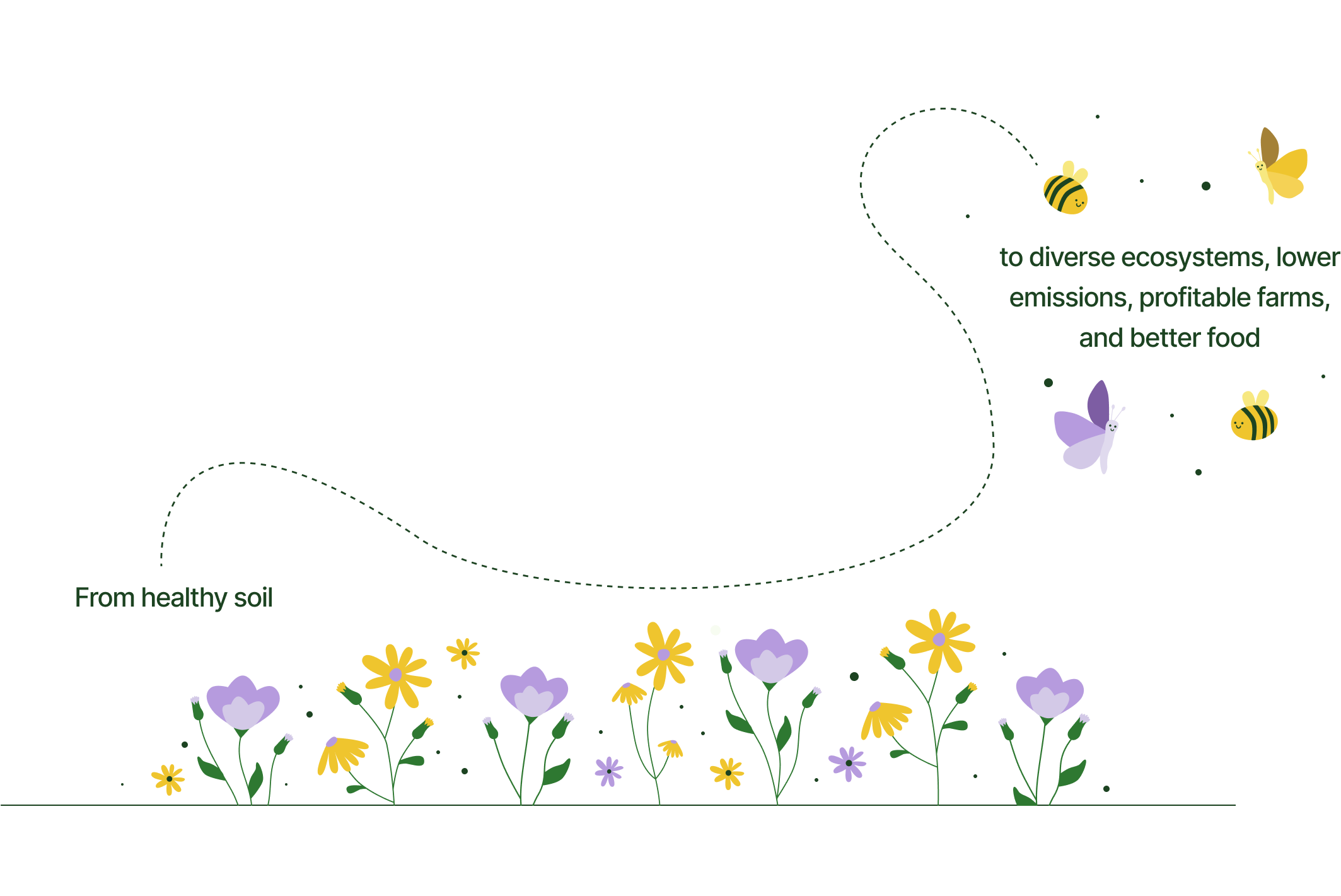 Illustration showing the journey from healthy soil to diverse ecosystems, with flowers, bees and butterflies